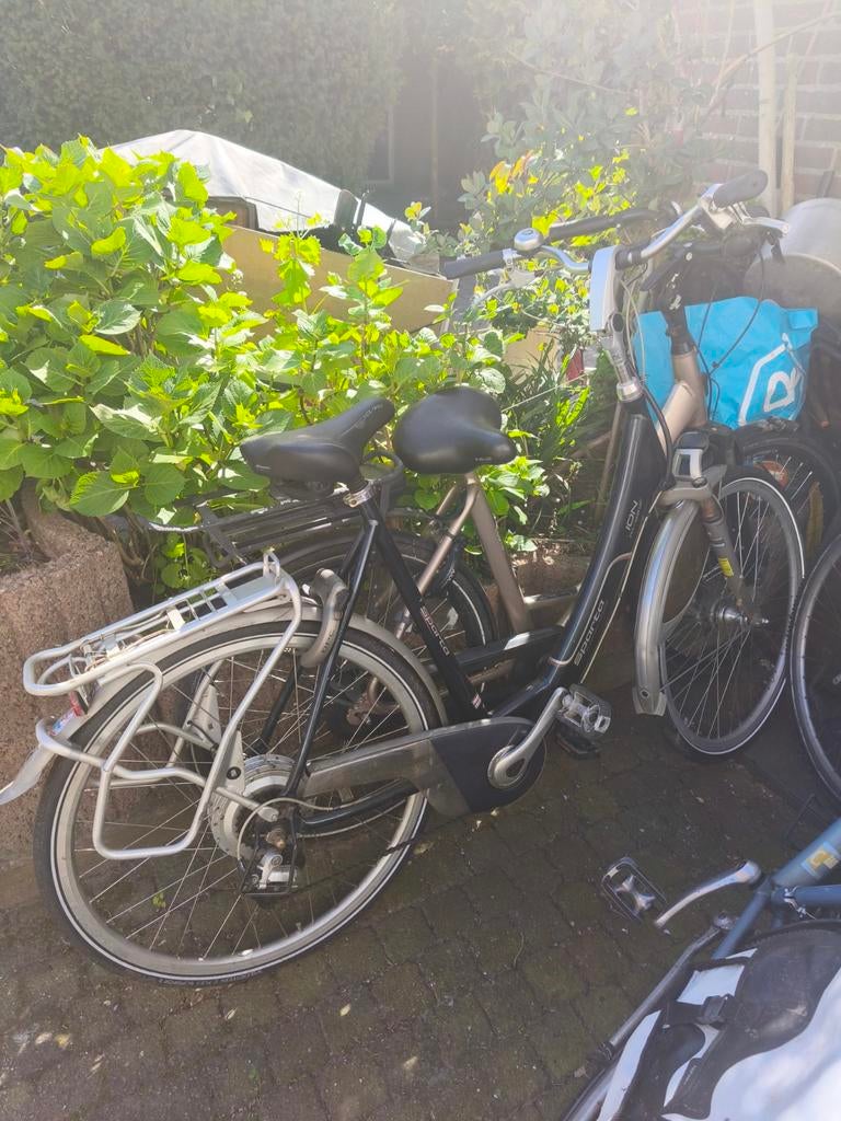 Damesfietsen div prijzen, nagekeken en gerepa, Fietsen en Brommers, Fietsen | Dames | Damesfietsen, Ophalen of Verzenden, Gebruikt