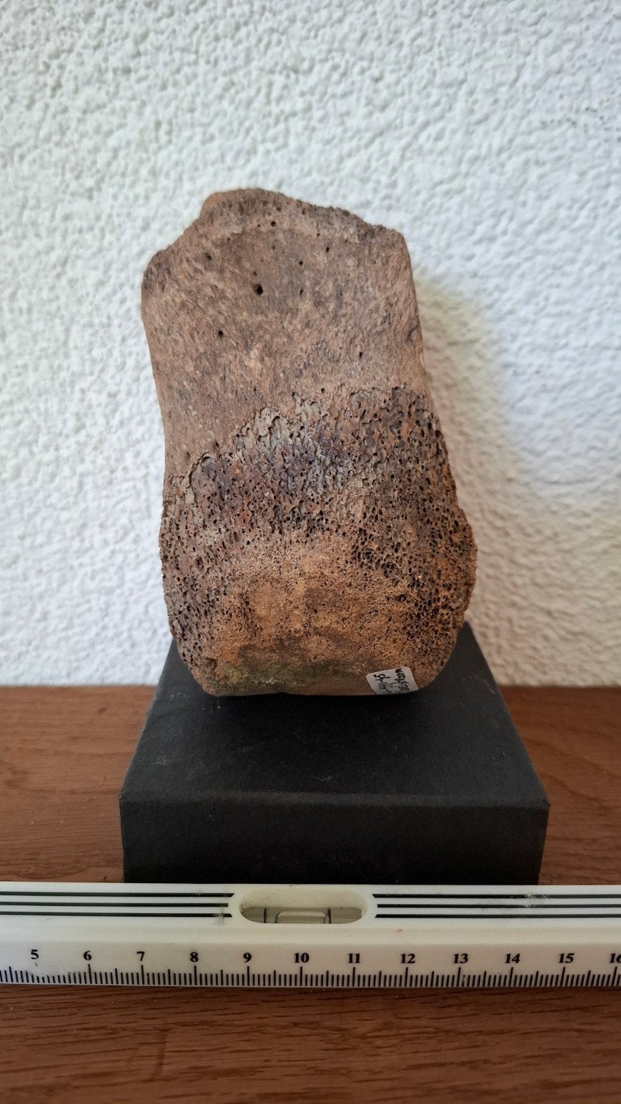 Wolharige Mammoet Middenhandsbeentje - Pleistoceen, Verzamelen, Ophalen of Verzenden, Fossiel