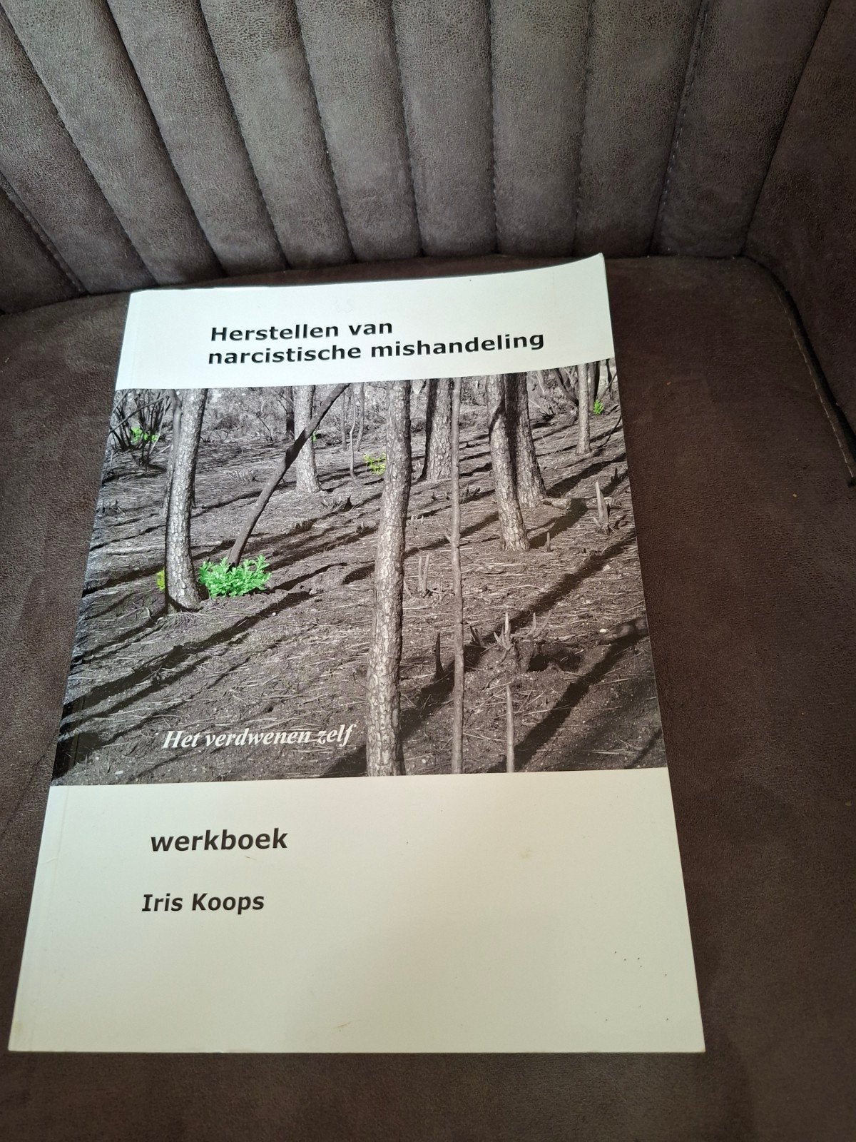 Herstellen van narcistische mishandeling - Werkboek, Boeken, Ophalen of Verzenden, Gelezen, Klinische psychologie, Iris Koops