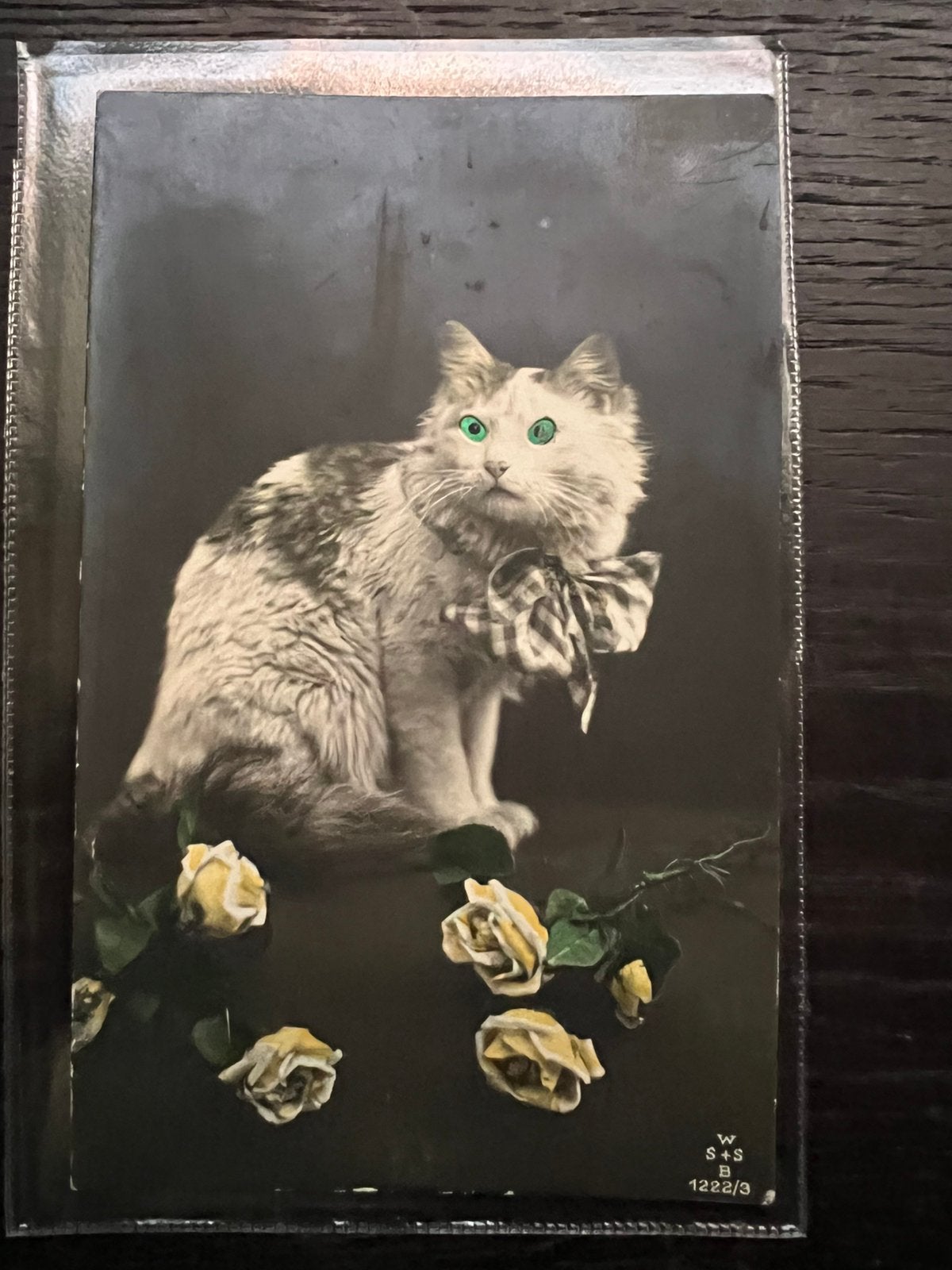 Art deco oogjeskaart van een poes met groene ogen, Verzamelen, Ophalen of Verzenden, 1920 tot 1940, Ongelopen, Hond of Kat