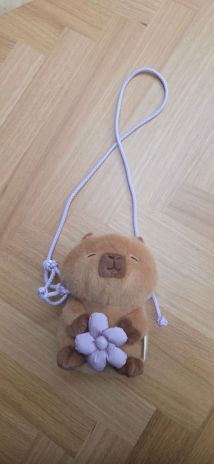 Zara Capybara Schoudertasje voor Meisjes - ca. 20 cm, Ophalen of Verzenden, Zo goed als nieuw, Bruin, Schoudertasje