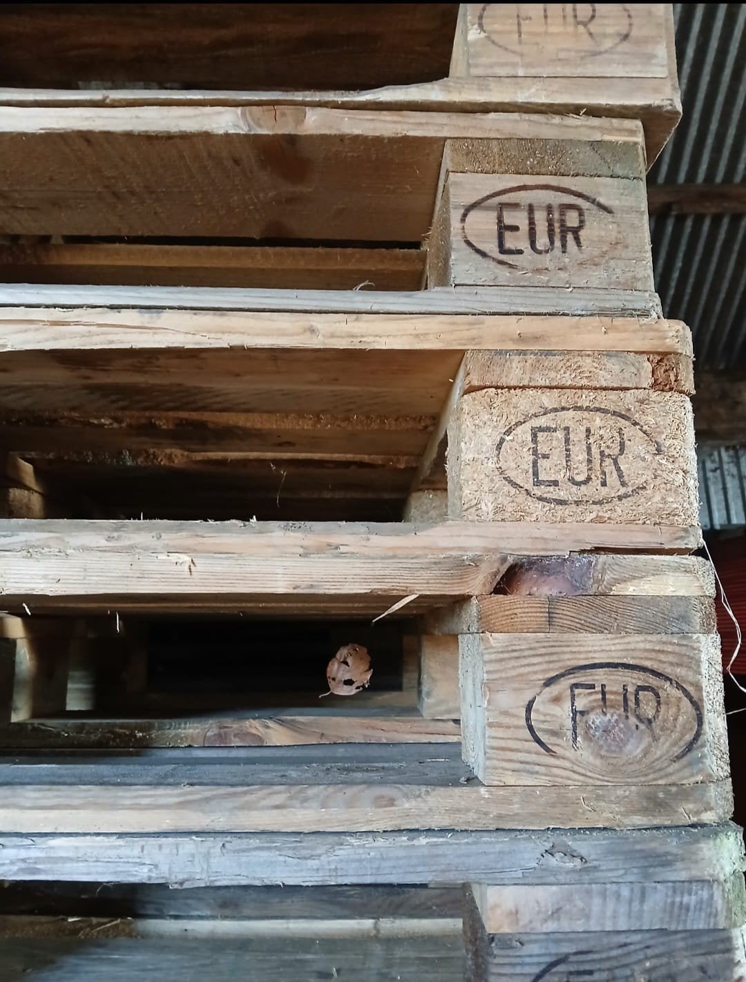 20 europallets, Tuin en Terras, Minder dan 3 m³, Ophalen