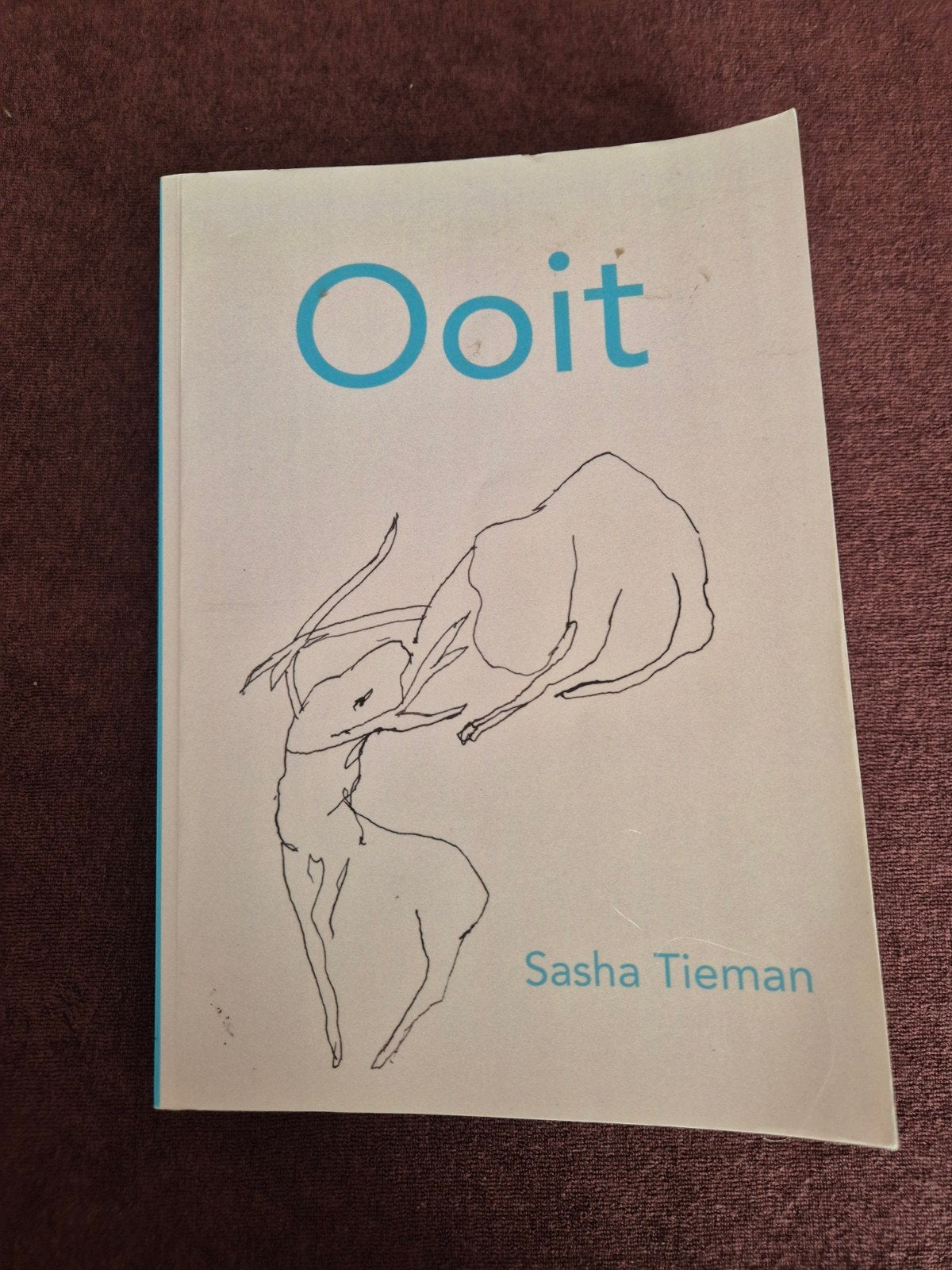 Ooit - Sasha Tieman (Roman), Boeken, Ophalen of Verzenden, Gelezen, Sasha Tieman