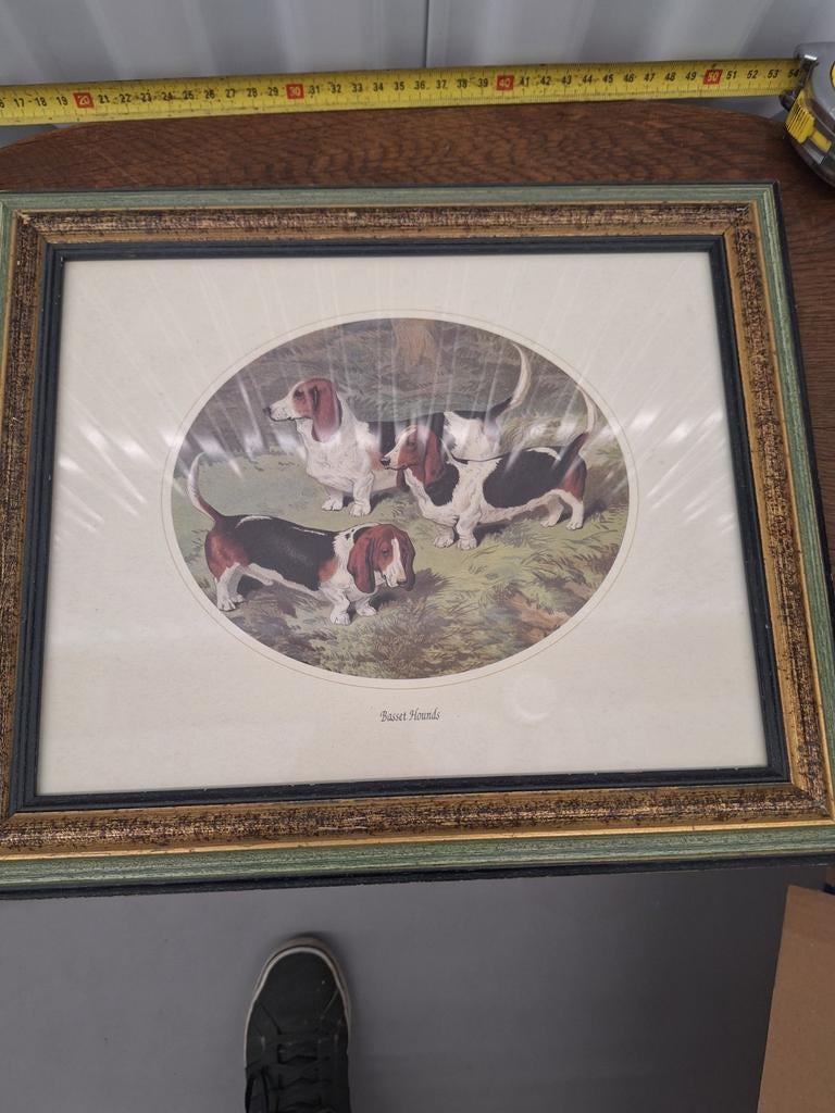 Vintage Basset Hounds print in lijst, Ophalen of Verzenden