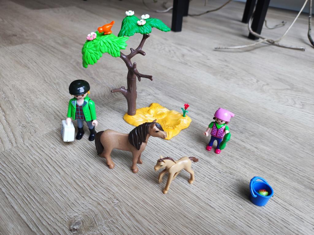 Playmobil Dierenarts met pony's - 6949, Ophalen, Zo goed als nieuw, Jongen of Meisje