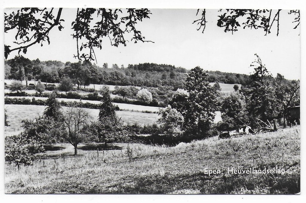 Epen Heuvellandschap oude gelopen ansichtkaart ( B8144), Ophalen of Verzenden, 1960 tot 1980, Gelopen
