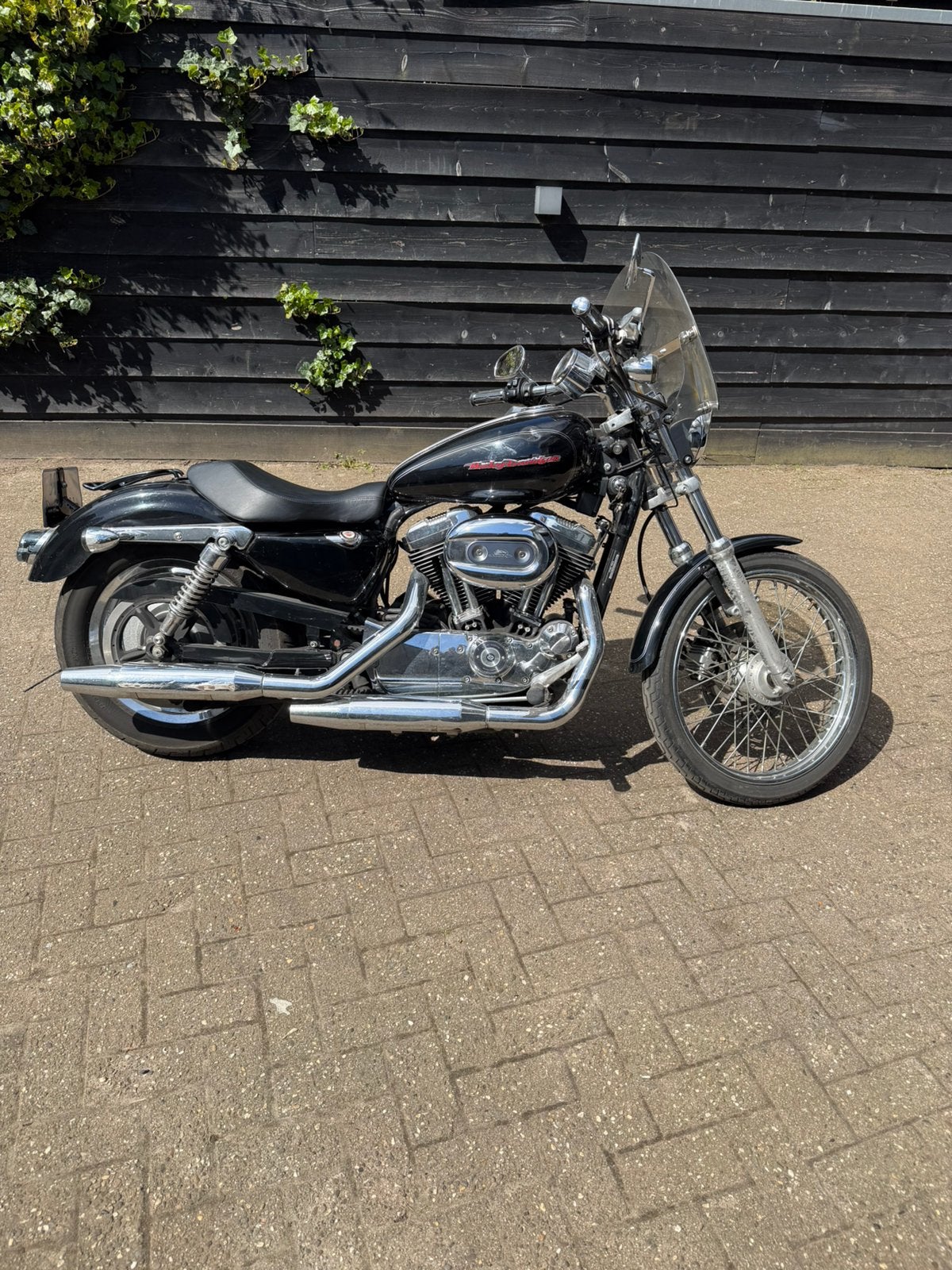Harley Davidson Sportster Custom 1200, Motoren, 2 cilinders, Occasion, Chopper, Bedrijf