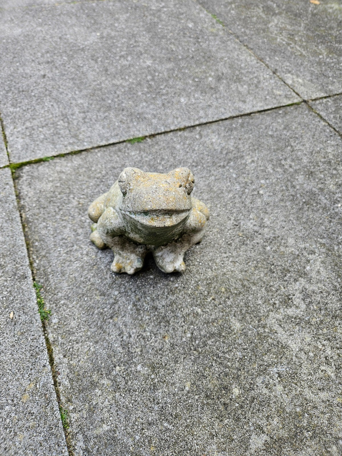 Betonnen Kikker Beeld - Tuinbeeld 20 cm hoog, Ophalen