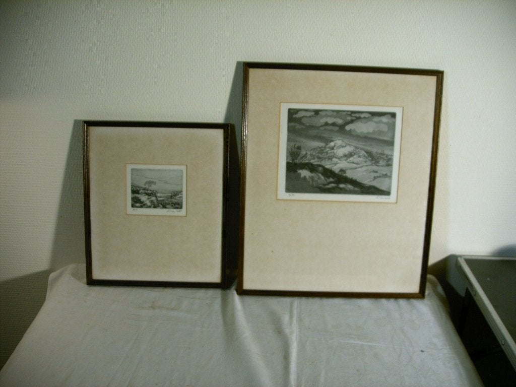 Twee grafische werken van Livien De Trogh., Ingelijst, Ophalen of Verzenden, Landschap, 1950 - 1999