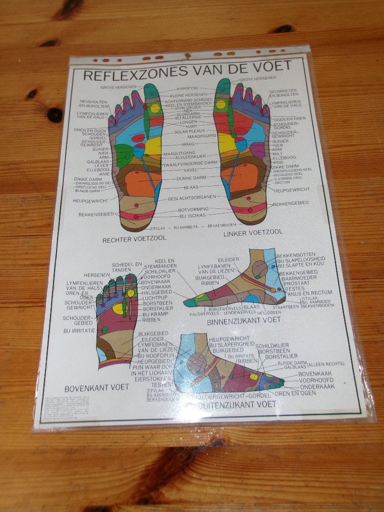 reflexzones van de voet en hand, Ophalen of Verzenden, Gebruikt, Overige typen