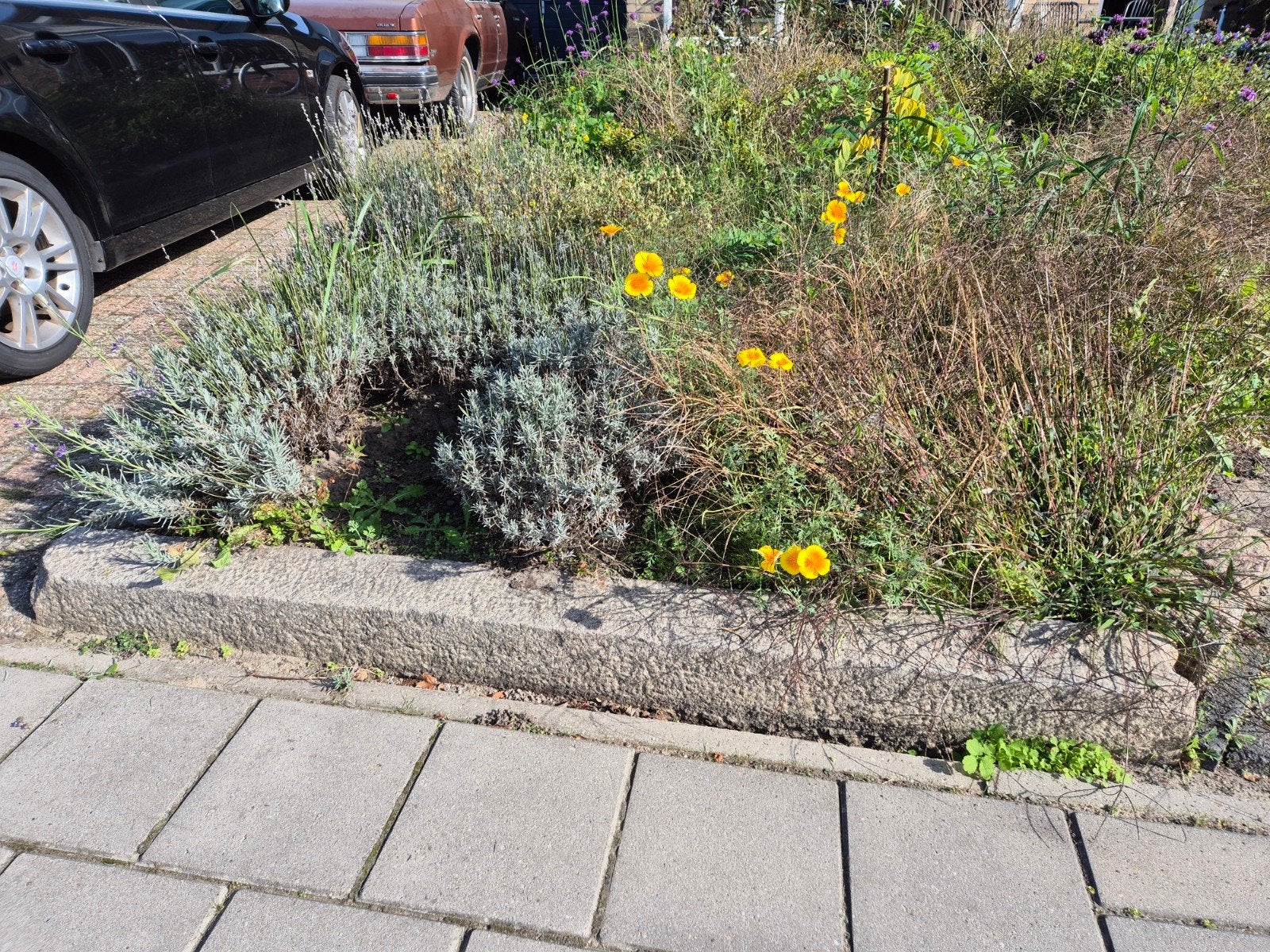 natuurstenen banden voor tuin of border, Tuin en Terras, Ophalen, Gebruikt, 200 cm of meer, Border