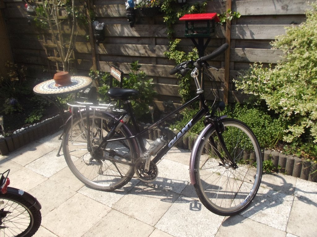 meisjesfiets Giant, Ophalen, Gebruikt, 26 inch of meer, Giant