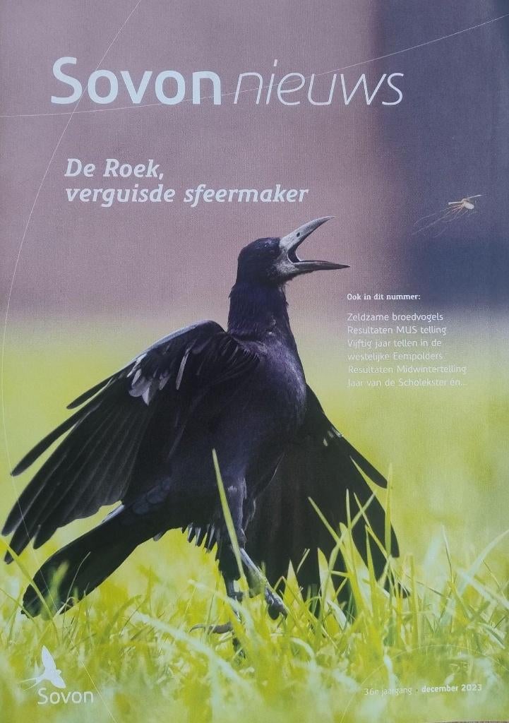 Tijdschriften: Sovon (2023-2025), Ophalen of Verzenden, Gelezen, Wetenschap en Natuur