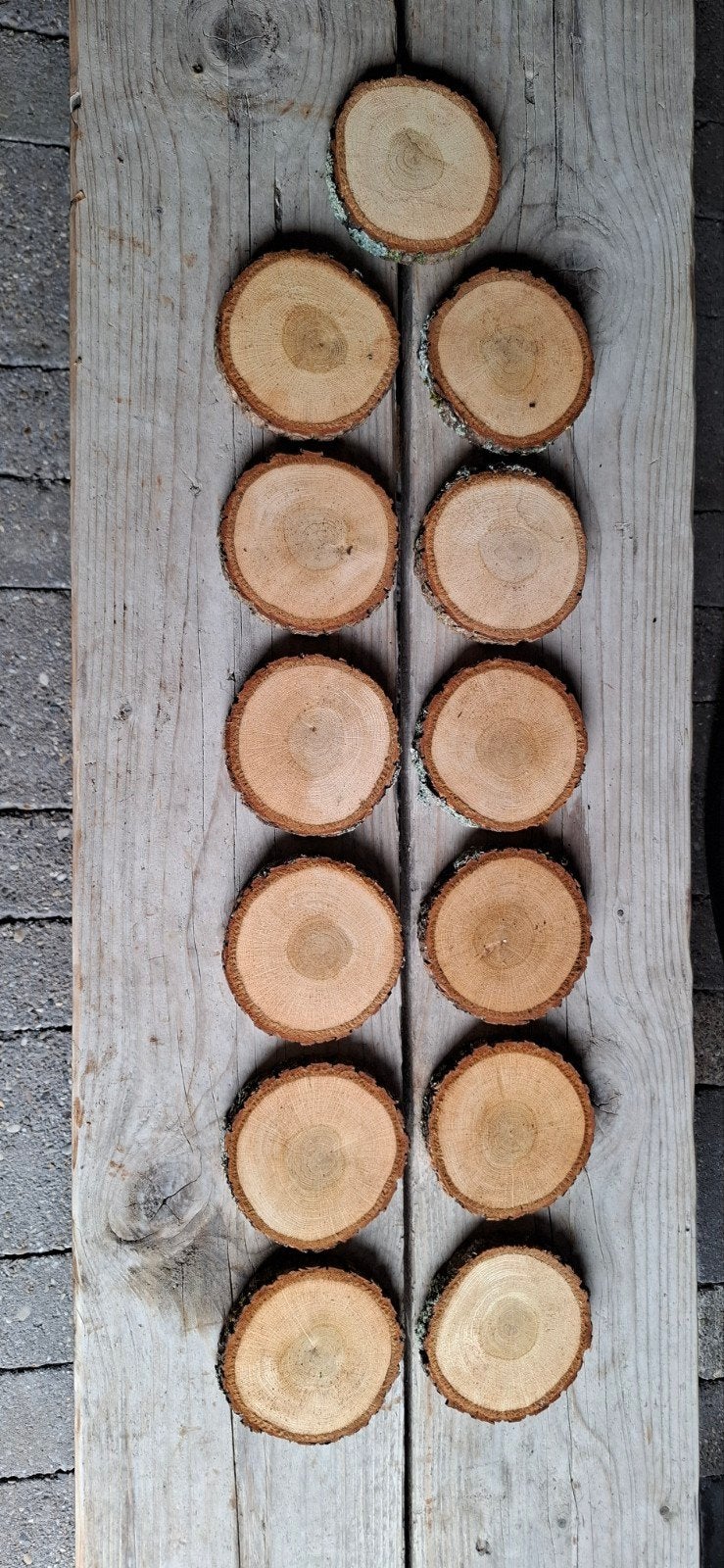 Eiken houten schijven, Ophalen of Verzenden
