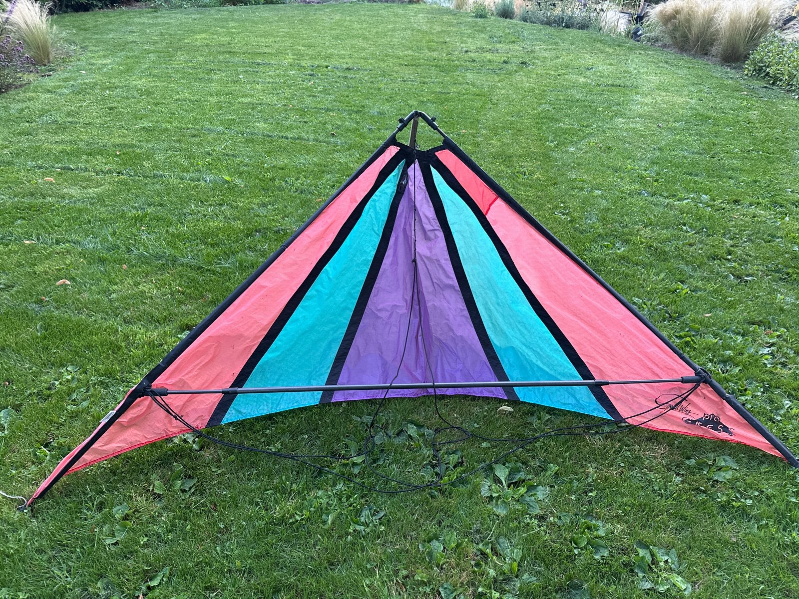 5 Speedwing vliegers met accessoires, Ophalen of Verzenden, Gebruikt, Tweelijns, Vlieger