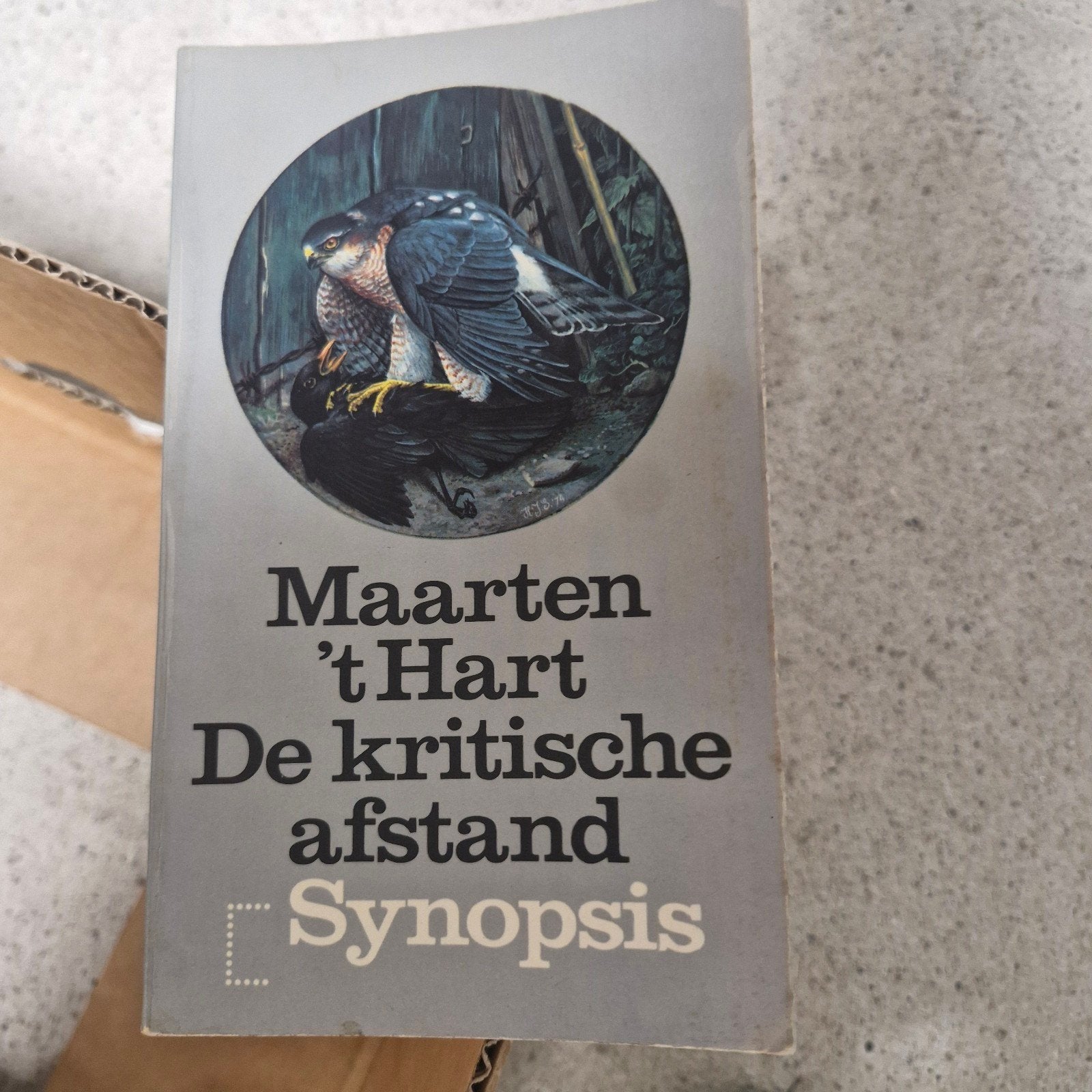 Maarten 't Hart - De kritische afstand (Synopsis)