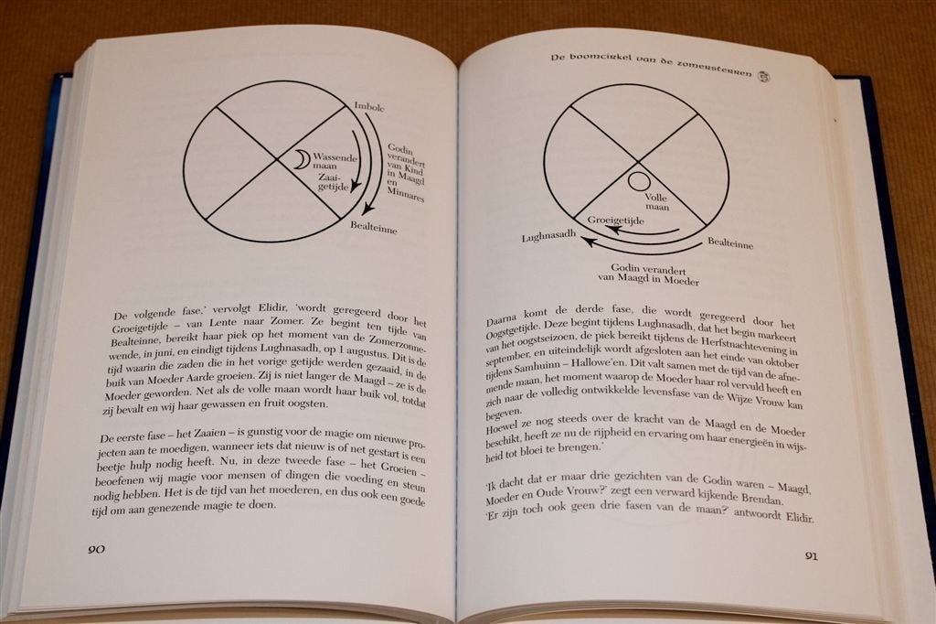 Handboek Wicca & Druïdisme — Rituelen, Magie & Technieken, Boeken, Ophalen of Verzenden, Zo goed als nieuw, Overige onderwerpen