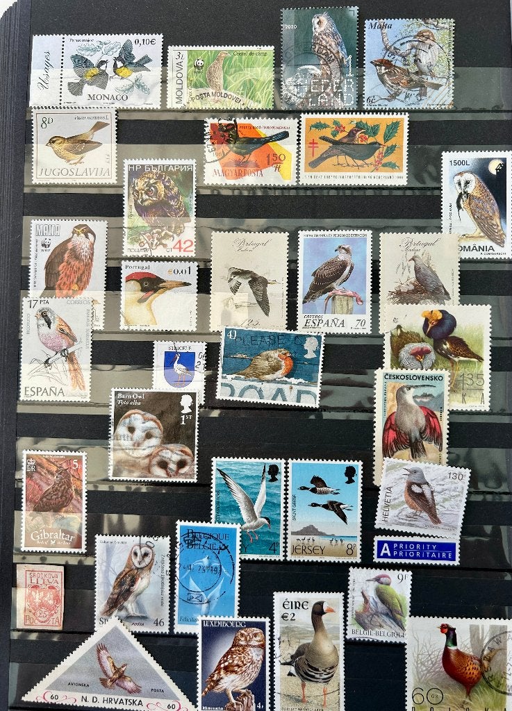 Europa vogels, Verzenden, Dier of Natuur