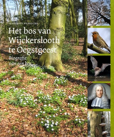 Bos van Wijckerslooth te Oegstgeest., Ophalen of Verzenden, 20e eeuw of later, Zo goed als nieuw