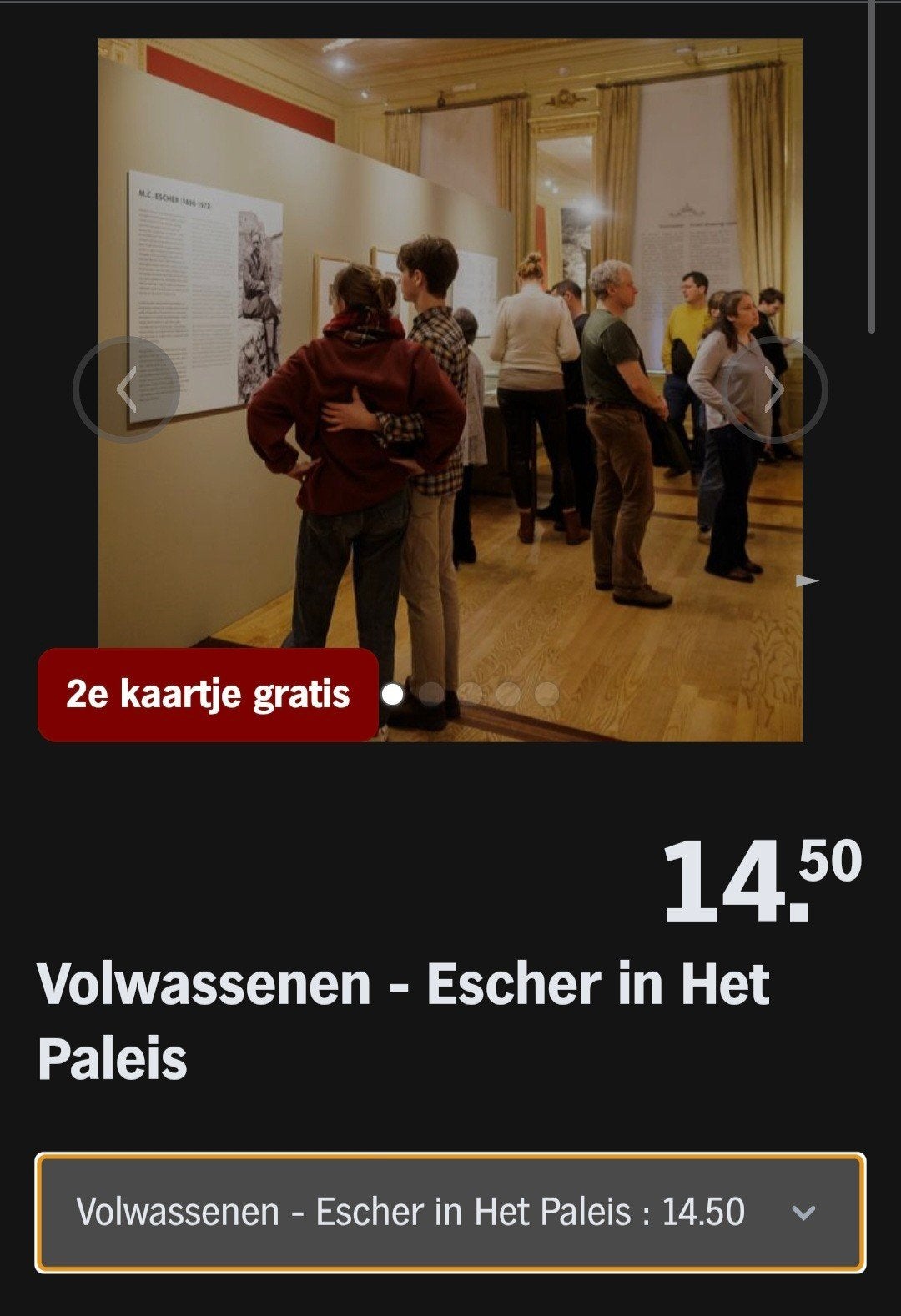 ESCHER IN HET PALEIS ♡ 2e kaartje gratis (AH SPAARKAARTEN), Overige typen