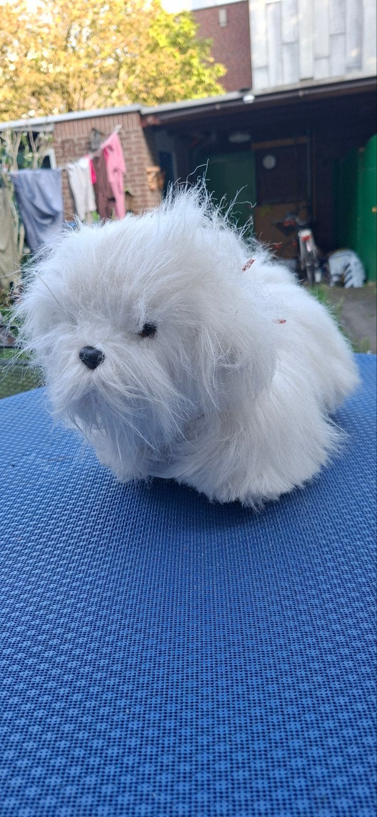 Interactieve witte pluche hond - loopt en blaft, Gebruikt, Klein (minder dan 20 cm), Wit, Interactief