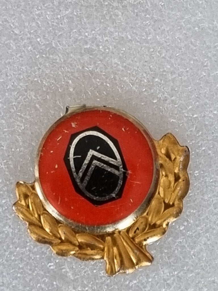 Speldje Citroën, Verzamelen, Ophalen of Verzenden, Gebruikt, Overige onderwerpen, Speldje of Pin