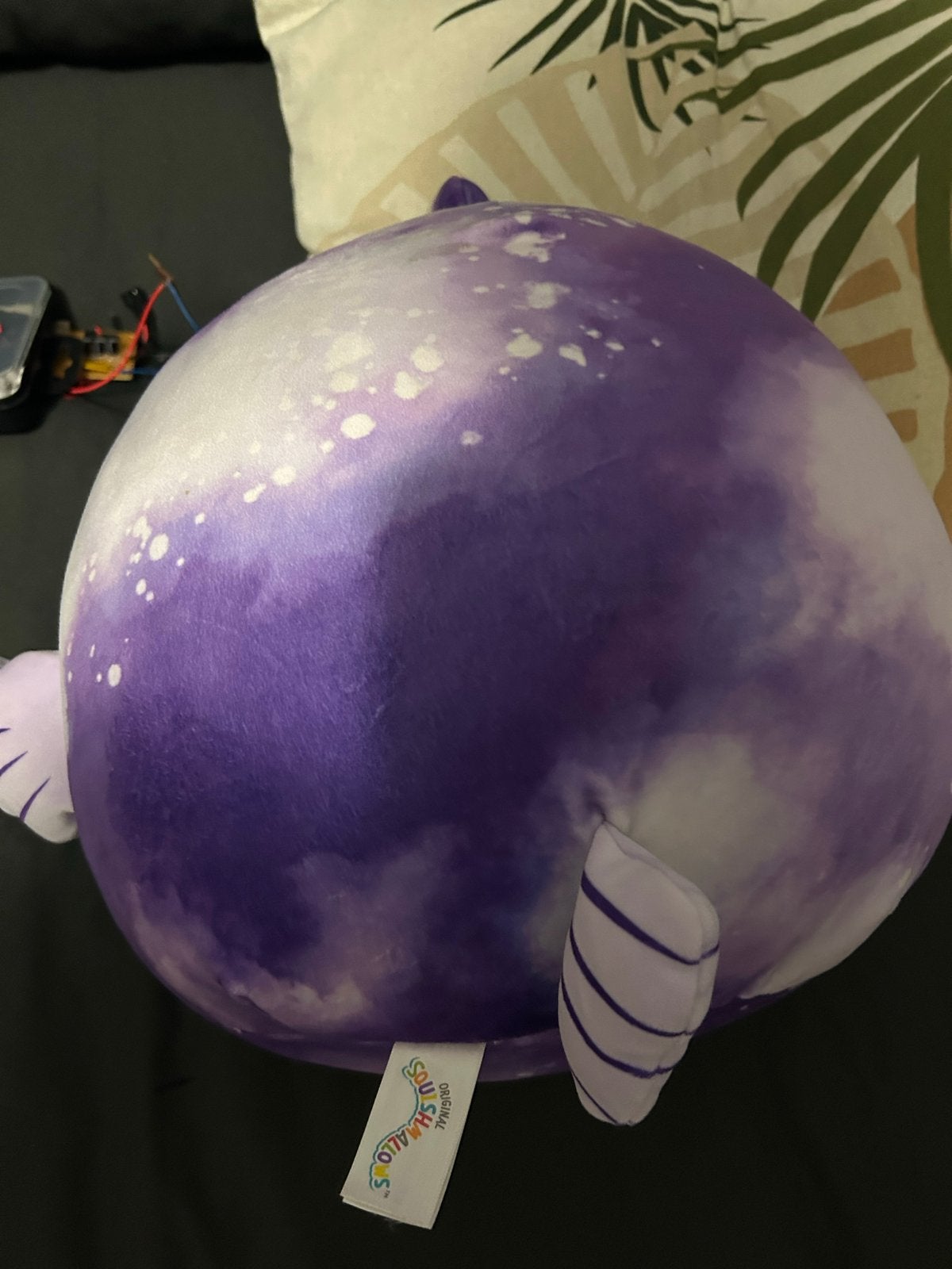 Squishmallow Medium Paars Knuffel, Paars, Gebruikt, Ophalen of Verzenden, Middelgroot (20 tot 80 cm)