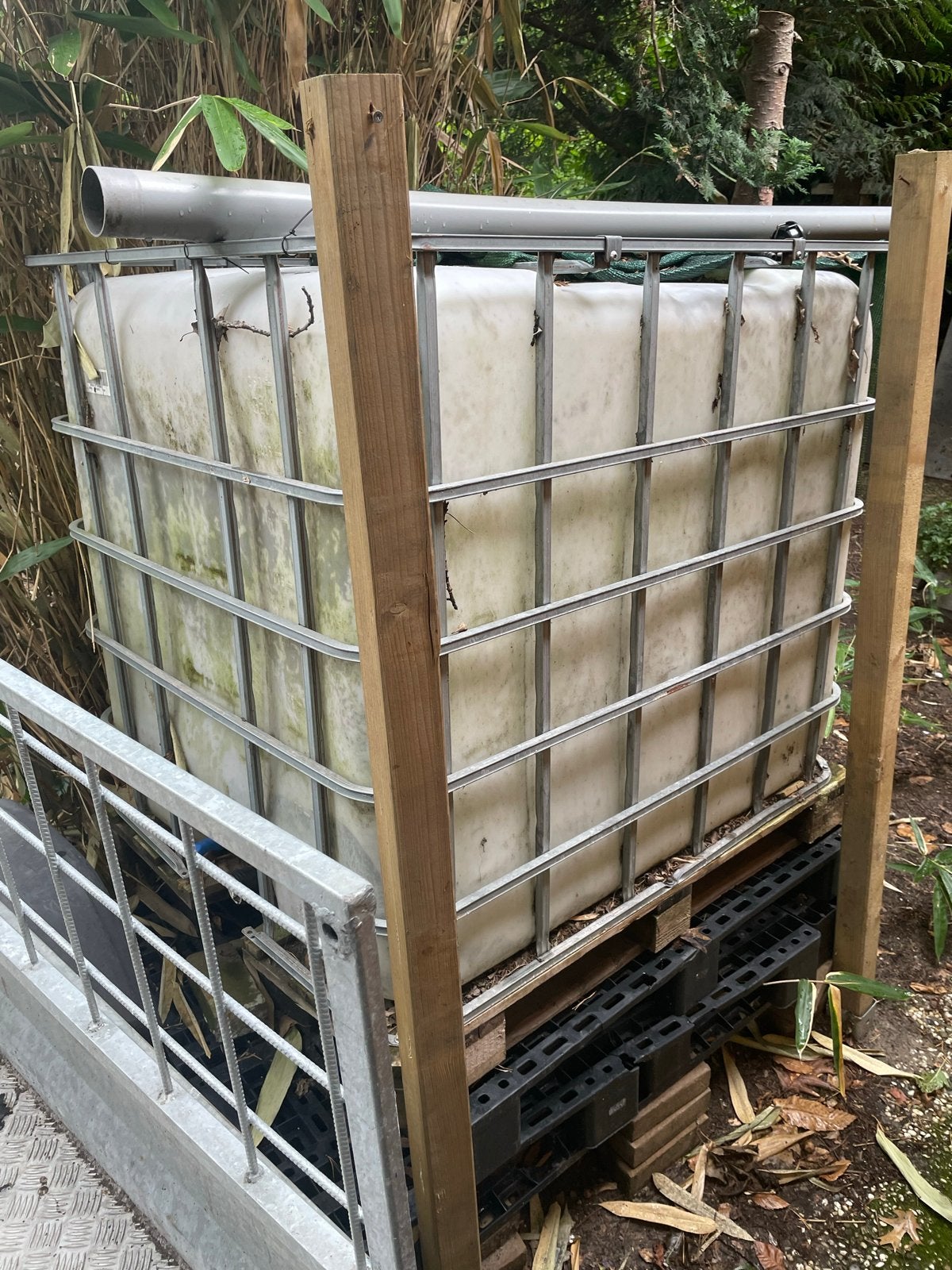 Regenwatertank IBC 1000L met kraan, Ophalen, Kunststof, Gebruikt, Met kraantje