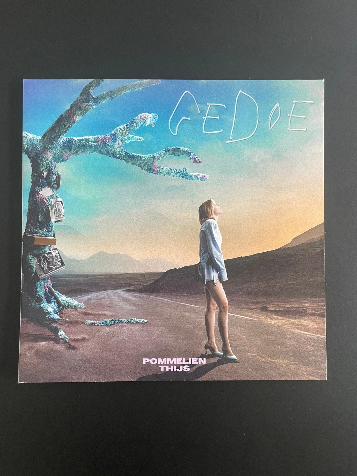 LP Pommelien Thijs - Gedoe (blue vinyl), Ophalen of Verzenden, Gebruikt, 12 inch
