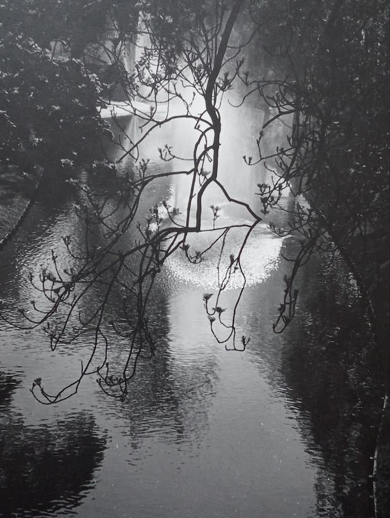Foto water met weerspiegeling jaren 20/30, Ophalen of Verzenden, Voor 1940, Zo goed als nieuw