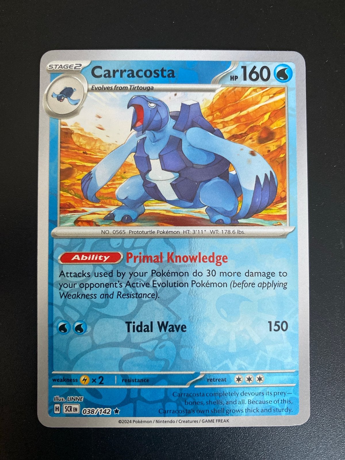 Carracosta 038/142 Rare Reverse Holo Pokémon Stellar Crown, Ophalen of Verzenden, Nieuw, Losse kaart, Foil