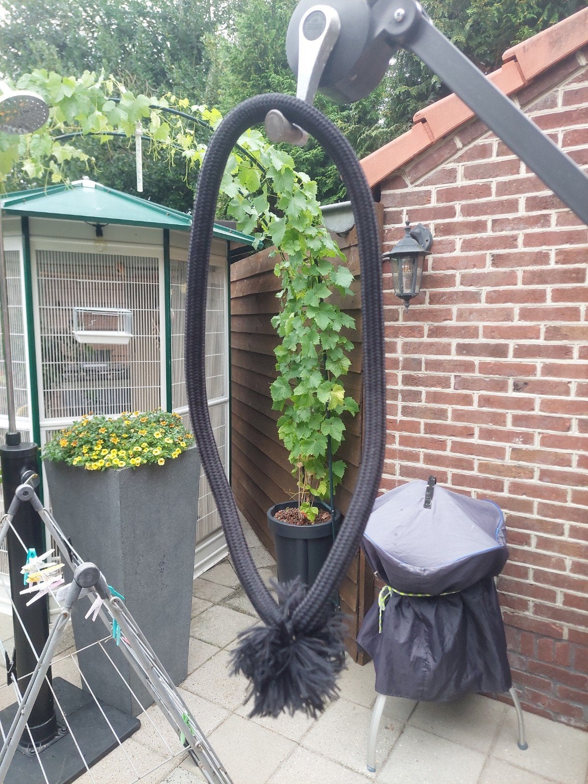 neckrope zwart, Dieren en Toebehoren, Ophalen of Verzenden, Zo goed als nieuw, Overige disciplines