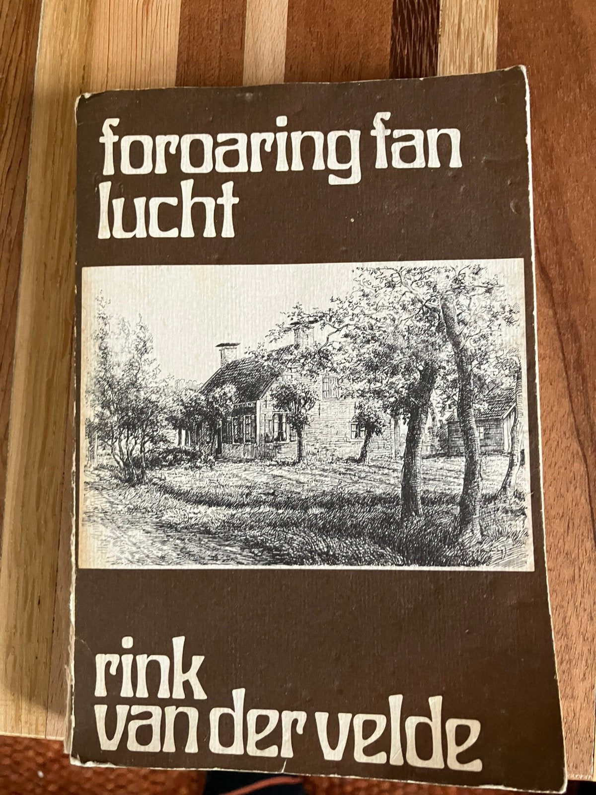 Feroaring fan lucht - Rink van der Velde, Ophalen of Verzenden, Gelezen, Friesland