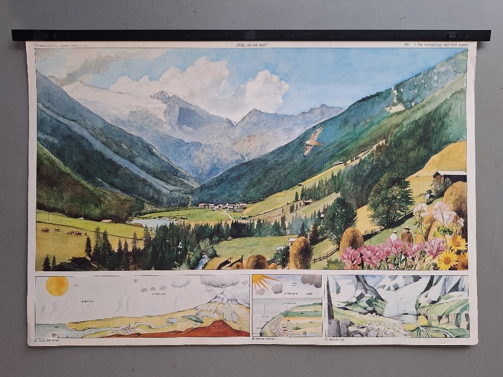 vintage schoolprenten complete serie 18x "Kijk, zó zit dat!", Ophalen, Natuur en Biologie