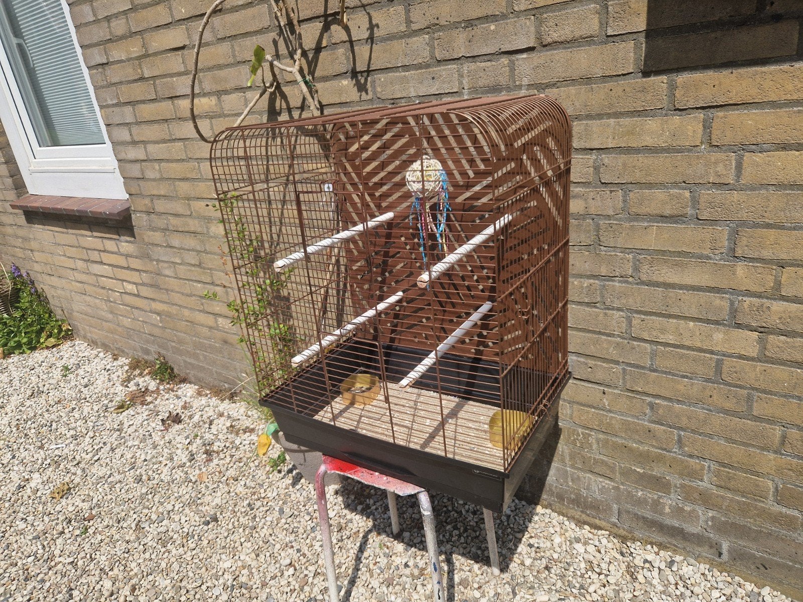 vogelkooi kooi volière grasparkieten agapornissen, Ophalen of Verzenden, Metaal, Vogelkooi