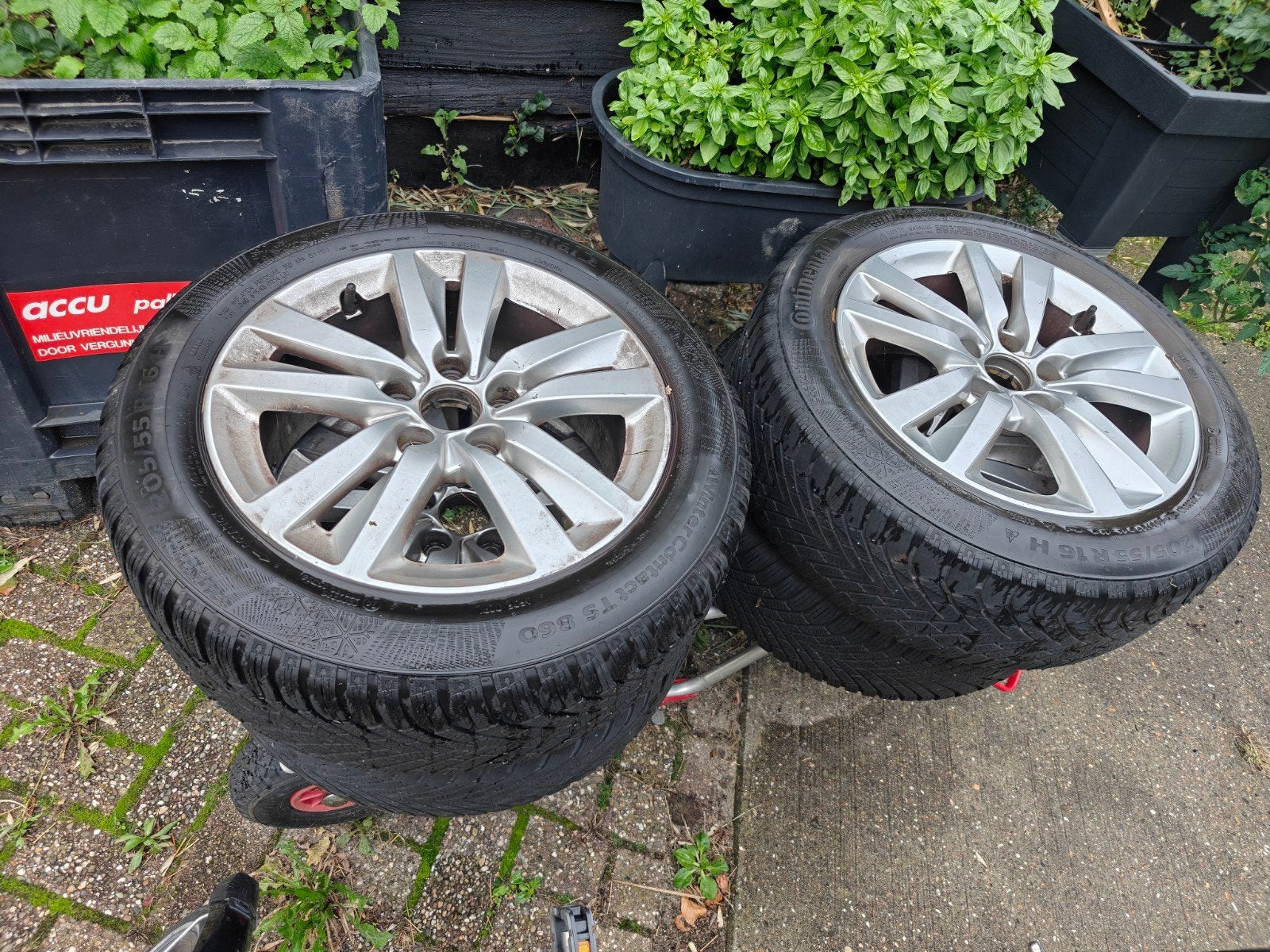 Peugeot 308 Velgen met Winterbanden, Ophalen, Gebruikt, 16 inch, Banden en Velgen