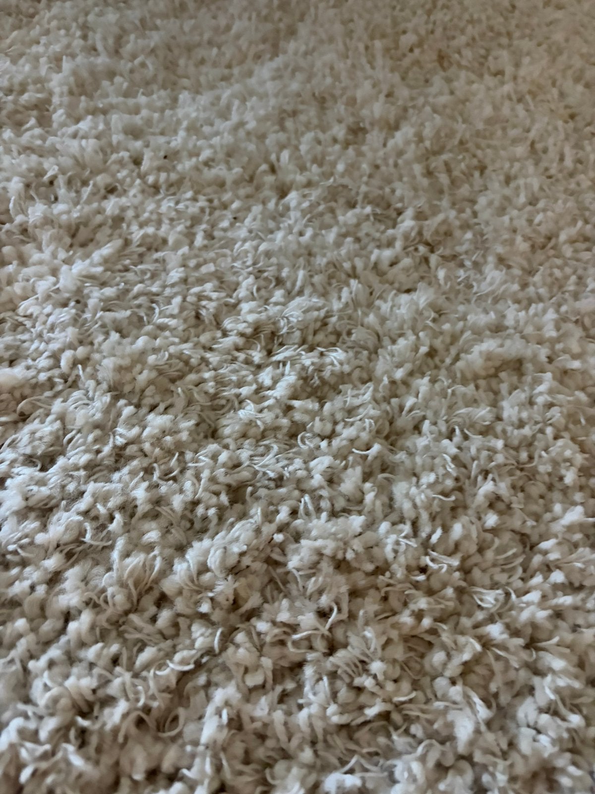 Vloerkleed creme/wit 200x300cm, Ophalen, Gebruikt, Wit, 200 cm of meer