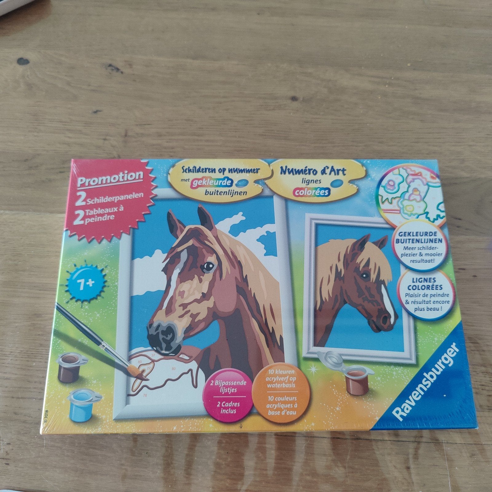 Schilderen op nummer paarden NIEUW, Ophalen of Verzenden, Nieuw