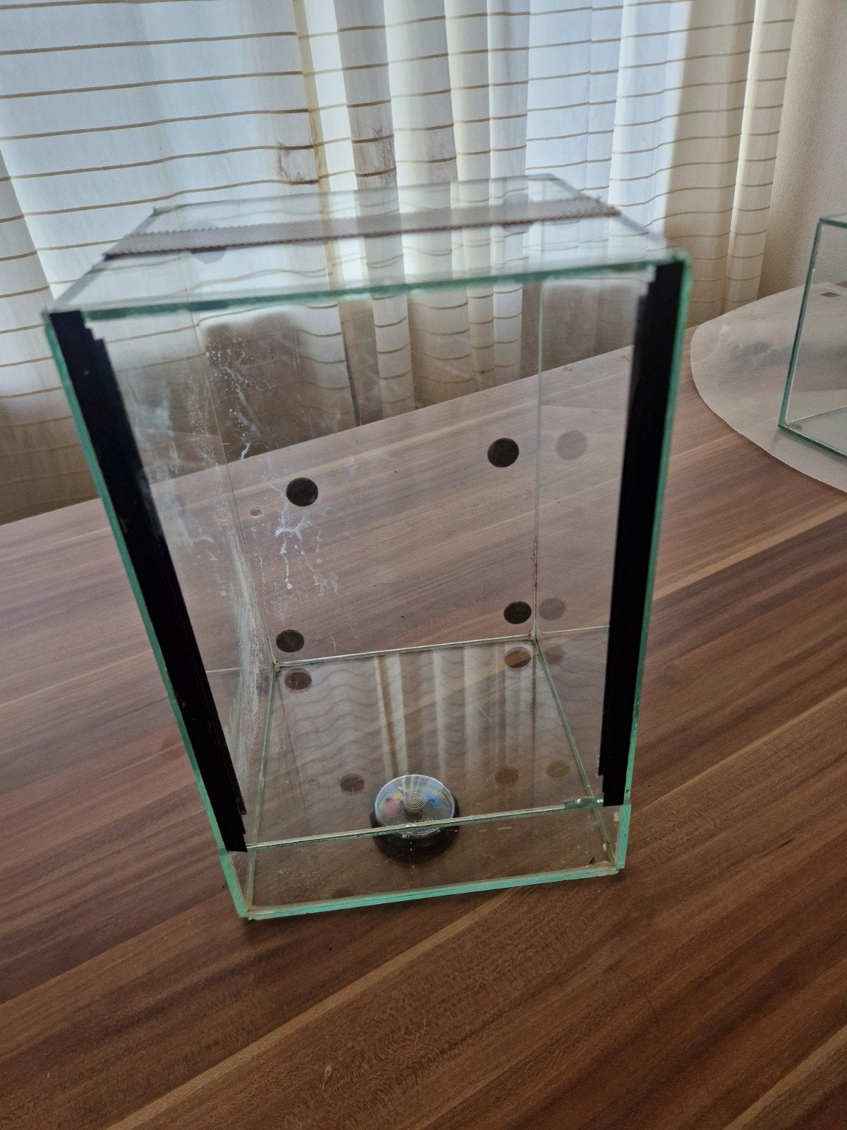 Terrarium voor vogelspinnen