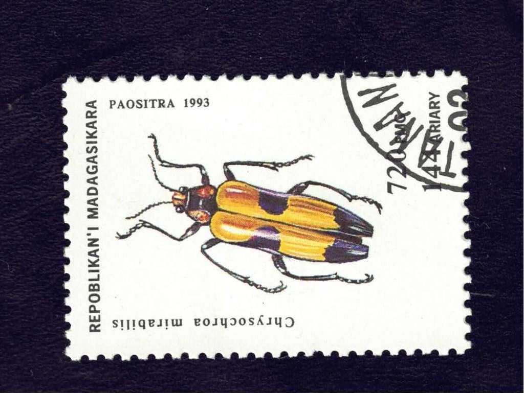 Fauna - Dieren - Torren - Madagasikara - 1656 - gebr, Ophalen of Verzenden, Gestempeld, Dier of Natuur