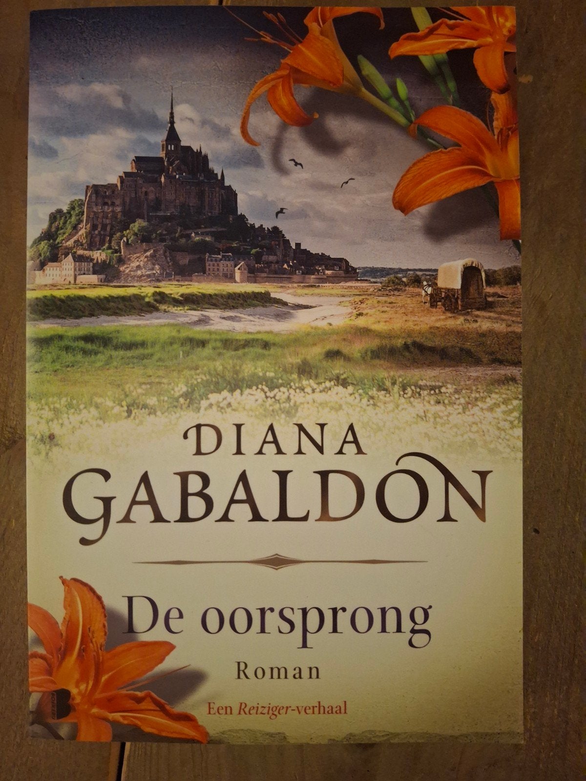 Diana Gabaldon - De oorsprong (Een Reiziger-verhaal), Boeken, Ophalen of Verzenden, Gelezen, Diana Gabaldon, Nederland