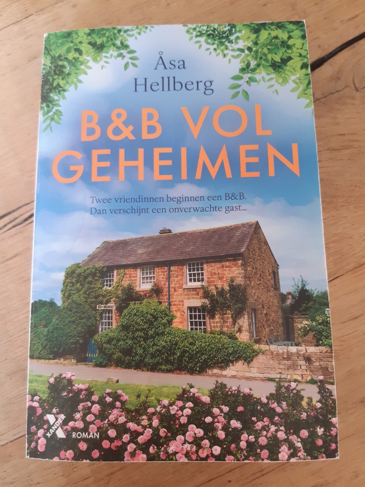 B&B Vol Geheimen - Åsa Hellberg (Roman), Boeken, Ophalen of Verzenden, Gelezen, Åsa Hellberg, Nederland