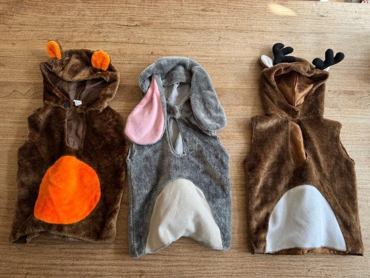 Dieren onesies verkleedkleding 3-5 jaar. Prijs per stuk, Ophalen of Verzenden, Gebruikt, 110 t/m 116, Jongen of Meisje