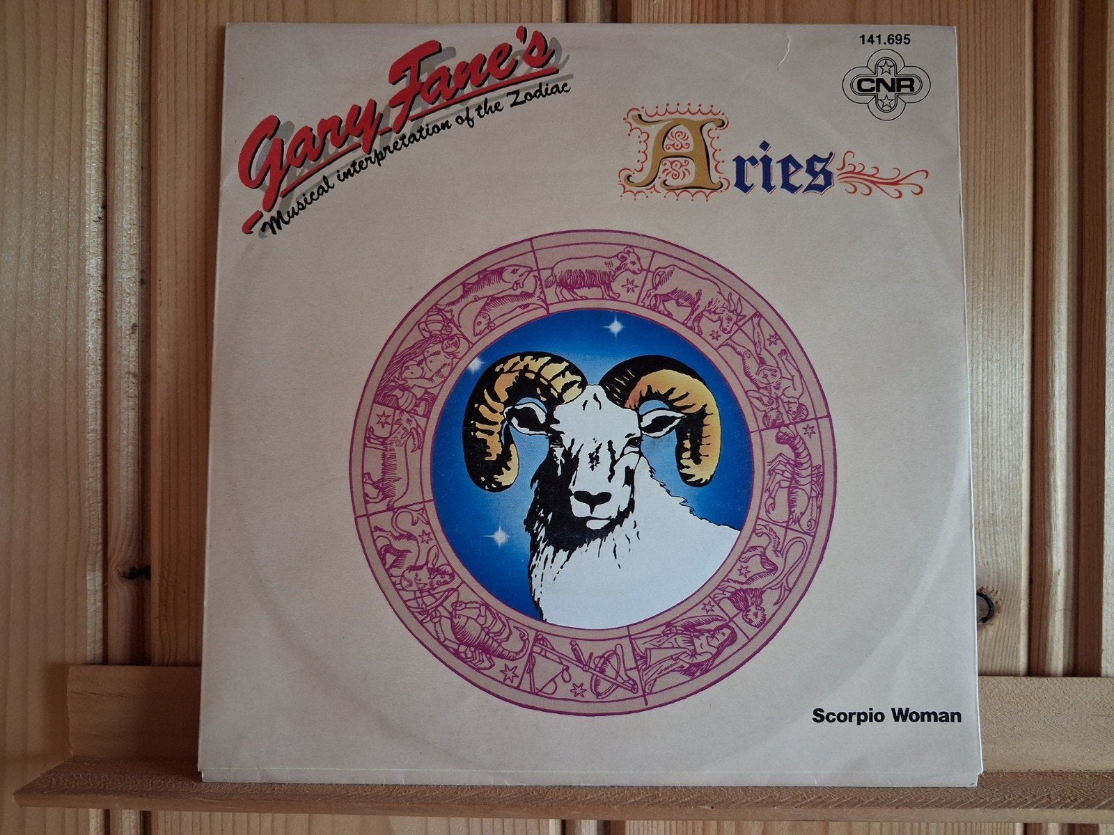 Gary Fane's, Ophalen of Verzenden, Zo goed als nieuw, Pop