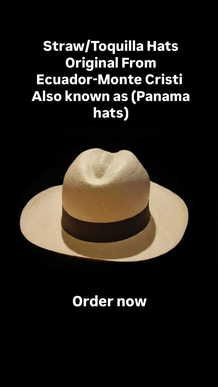 Nieuwe Panama Hoed Ecuador Monte Cristi Origineel, Ophalen of Verzenden, Nieuw, Hoed