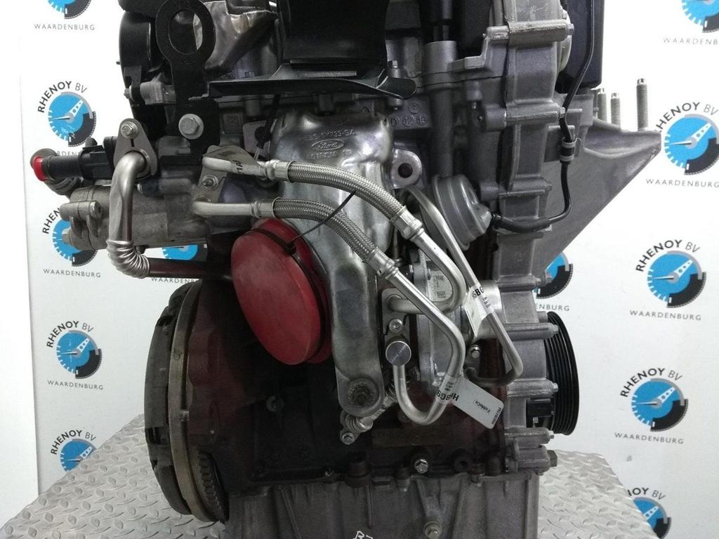 FORD FIESTA TURBO 2020, Ophalen of Verzenden, Gebruikt, Stiba lid