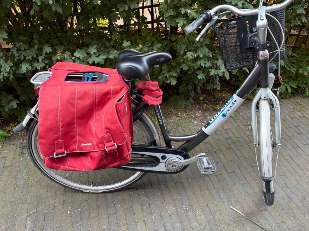 Gazelle Chamonix Pure Grey, Ophalen, 53 tot 56 cm, Velgrem, Versnellingen