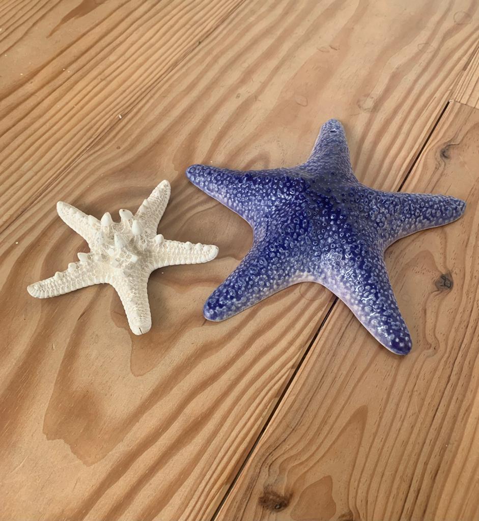 Leuke zeesterren decoratie, Ophalen, Zo goed als nieuw, Meerkleurig, Steen/keramiek