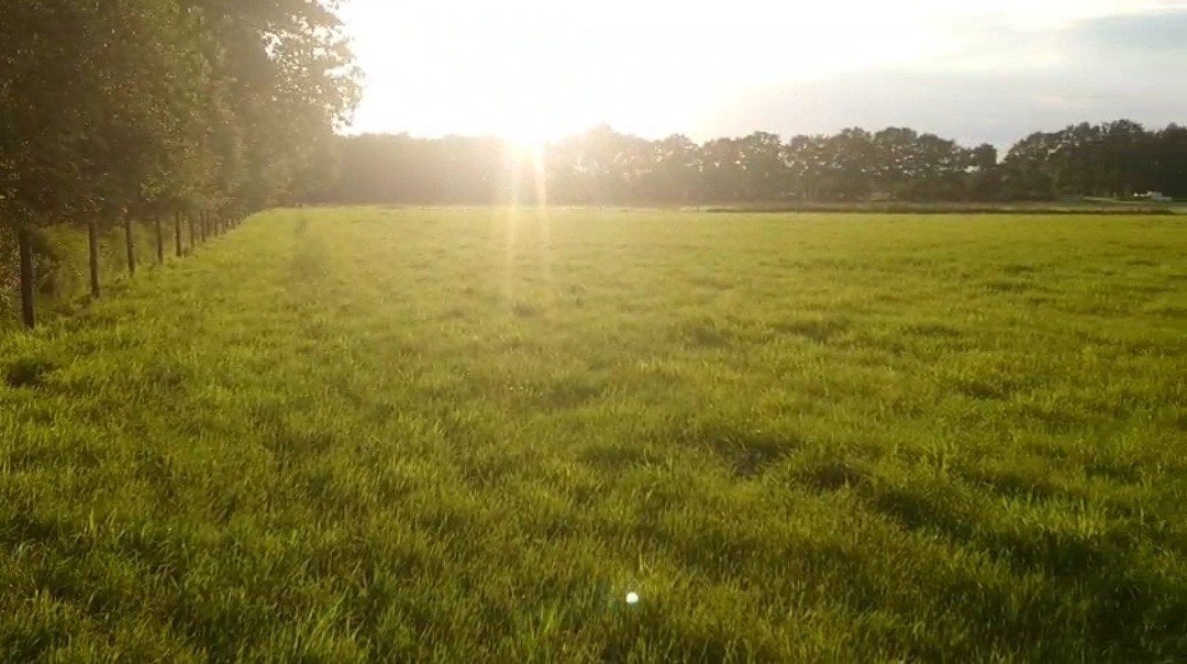 Te koop: 1 Hectare agrarisch grond grasland weide, Dieren en Toebehoren, Stalling en Weidegang