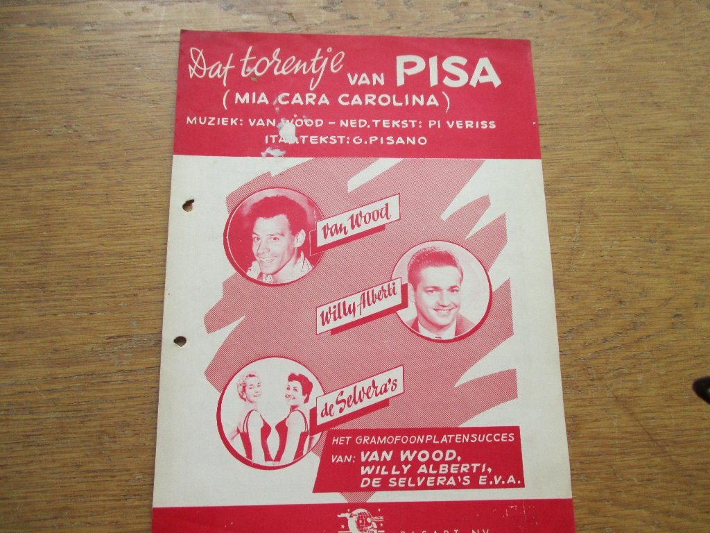 DAT TORENTJE VAN PISA, Gebruikt, Ophalen of Verzenden, Artiest of Componist, Populair